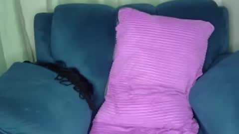 shana online show from December 8, 2024, 6:28 pm