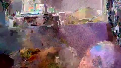 srekos38 online show from April 20, 2026, 5:43 am