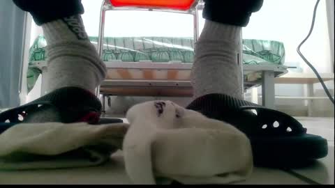 ssenzo online show from December 10, 2024, 9:54 pm