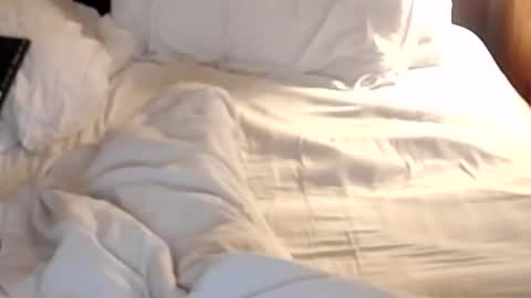 st8llion online show from January 24, 2025, 7:19 am