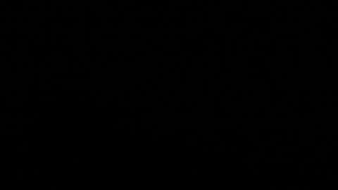 Stacy  online show from November 8, 2025, 11:21 am