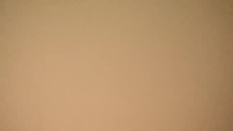 stanley204289748 online show from March 10, 2026, 9:36 am