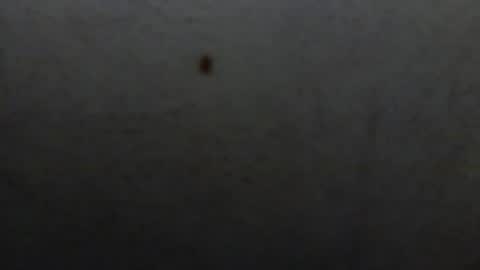 starguy600 online show from January 11, 2026, 7:46 am