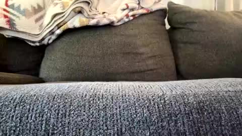 starr3095 online show from November 4, 2025, 3:22 pm