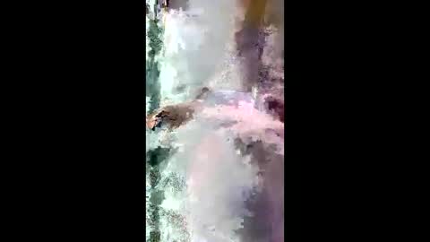 StarryWhispers online show from March 28, 2026, 11:21 am