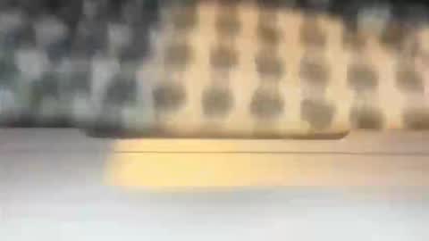 stcolster online show from March 7, 2026, 12:13 pm