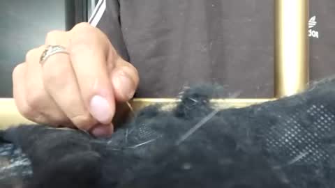 Katalleya and Steban online show from January 11, 2025, 5:31 am