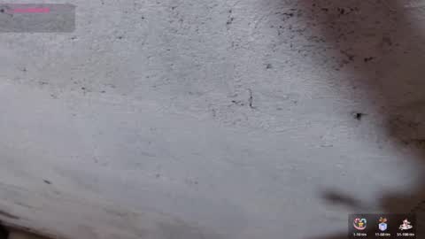 Snapshot of stefany_pablo1 chatting on November 1, 2025, 12:51 pm stefany_pablo1 online show from November 1, 2025, 12:51 pm