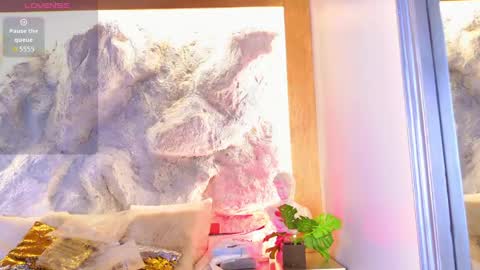 Snapshot of stellaciel_ chatting on April 22, 2026, 5:58 pm S T E L L A online show from April 22, 2026, 5:58 pm