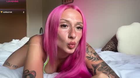Snapshot of stellacorbet chatting on June 13, 2026, 9:24 pm stellacorbet online show from June 13, 2026, 9:24 pm
