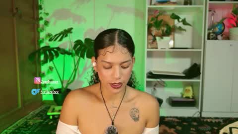 stellart_ online show from November 19, 2025, 12:43 am