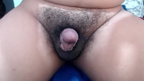 Stellaven online show from February 14, 2025, 6:56 am