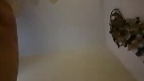 sterng123 online show from December 10, 2024, 9:01 am