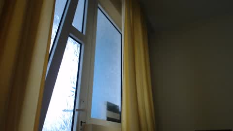 Steven online show from December 30, 2024, 1:47 pm