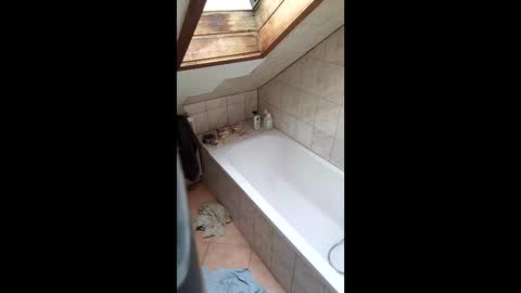 stiffler83pl online show from March 16, 2026, 12:53 pm