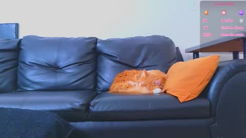 Stiven Montiel online show from January 9, 2026, 1:47 pm