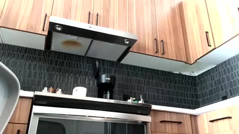 stlhotwifeguy online show from February 14, 2025, 3:36 pm