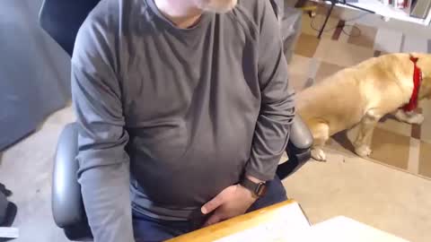 Stormy6569 online show from March 14, 2026, 1:44 am