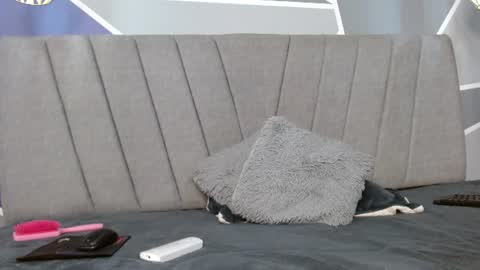 stormy_hot1 online show from July 28, 2026, 3:21 pm