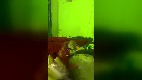 straight208 online show from May 8, 2026, 9:36 am