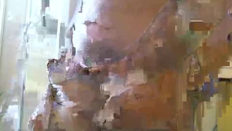 straightstroker81 online show from December 11, 2024, 6:58 am