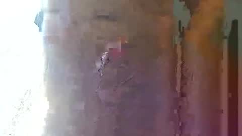 straightstroker81 online show from September 25, 2025, 5:00 am