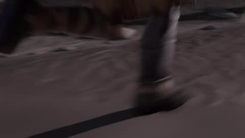 Snapshot of stream247_v2 chatting on January 15, 2026, 10:09 am stream247_v2 online show from January 15, 2026, 10:09 am