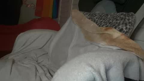 Dong Stroker online show from March 18, 2026, 9:01 am