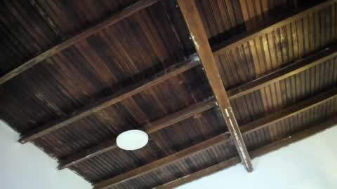 Alexa   online show from April 24, 2026, 11:01 am