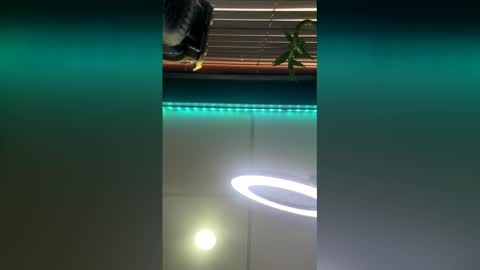 strong_rock69 online show from March 28, 2026, 10:42 pm