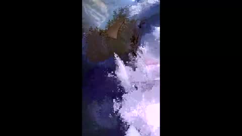 Snapshot of stuffamuffagus69 chatting on May 17, 2026, 9:33 pm stuffamuffagus69 online show from May 17, 2026, 9:33 pm