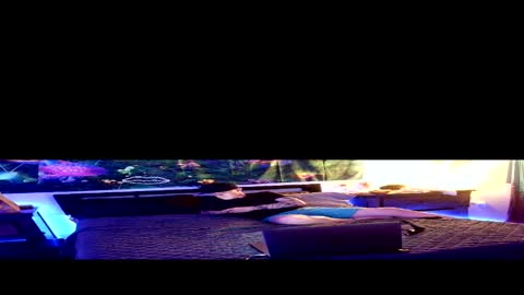 Snapshot of sty57039 chatting on March 2, 2026, 4:25 am Stycock88 online show from March 2, 2026, 4:25 am