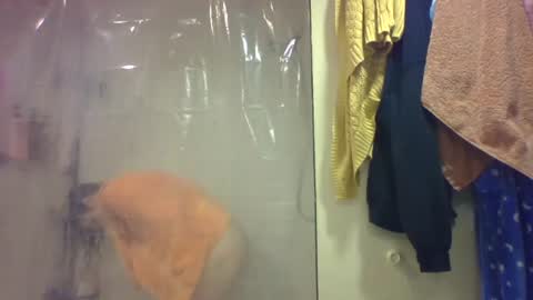 sub4you69brat online show from December 20, 2025, 9:33 pm