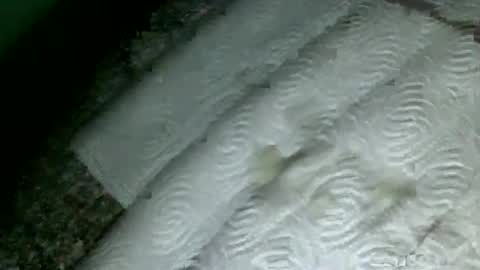 Martin sweetboy online show from February 18, 2025, 9:53 pm