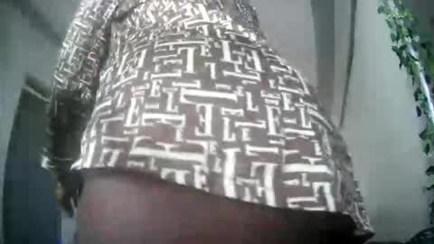 summerbuddy online show from November 7, 2025, 1:44 pm