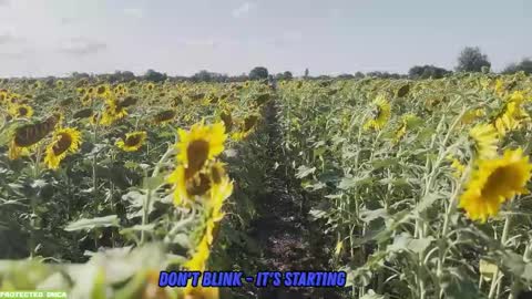 Tina. Im topless model  online show from September 14, 2025, 8:02 am