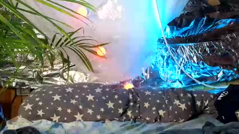 super jony and Marta GMT 1300-1800 every day online show from October 9, 2025, 9:51 am