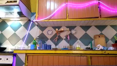 super jony and Marta GMT 1300-1800 every day online show from November 13, 2025, 3:55 pm