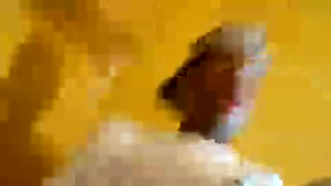 Snapshot of superbj245 chatting on June 13, 2026, 8:23 am superbj245 online show from June 13, 2026, 8:23 am