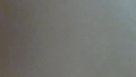 Annie online show from February 1, 2025, 11:10 am