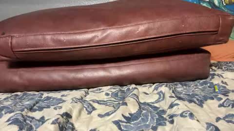 Stony online show from January 20, 2025, 11:56 am