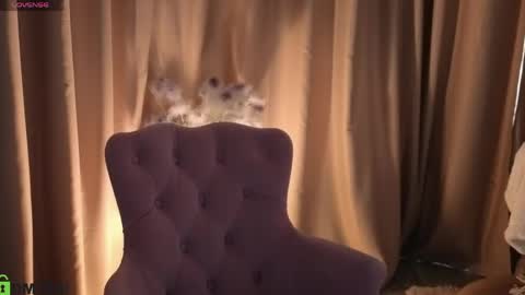 Snapshot of susan__clark chatting on May 17, 2026, 6:55 am Annie online show from May 17, 2026, 6:55 am