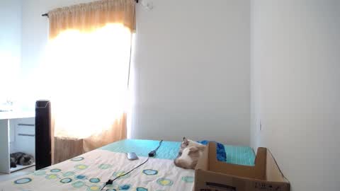 Susana online show from February 9, 2025, 6:37 pm