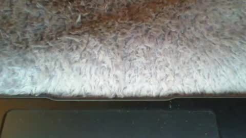 Snapshot of suseee chatting on March 21, 2026, 3:44 am Suseee online show from March 21, 2026, 3:44 am