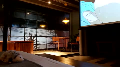 svenseries online show from February 19, 2025, 4:44 am