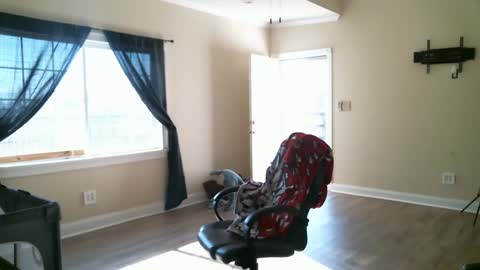 Swals online show from February 2, 2025, 4:11 pm