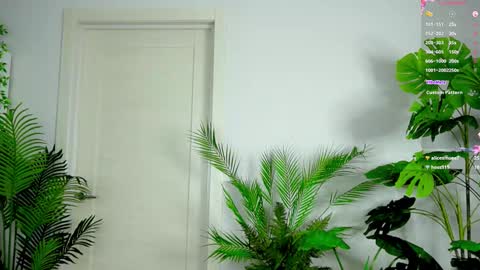 Alice online show from October 3, 2025, 3:31 pm