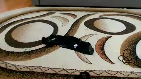 Snapshot of sweet_bluegirl chatting on March 6, 2026, 11:45 pm Sweet bluegirl online show from March 6, 2026, 11:45 pm