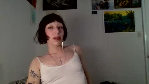 sweet_harvey online show from April 1, 2026, 12:33 am