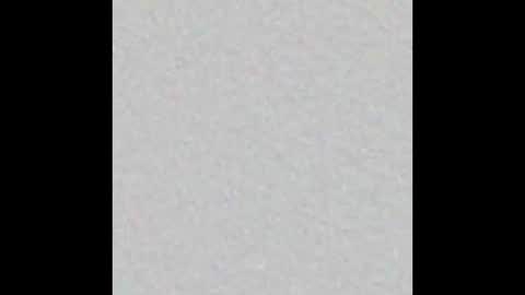 Start 18 year  Noa 19 year online show from March 13, 2026, 2:34 pm